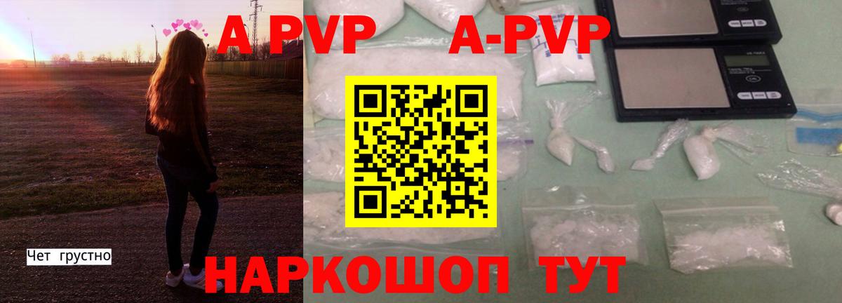 A-PVP СК  Вход с VPN  Alfa_PVP СК КРИС  Зерноград 